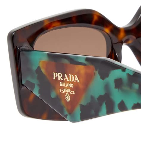 mens green and tortoise prada glasses|Sunglass Hut at Macy's.